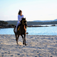 tour gallura